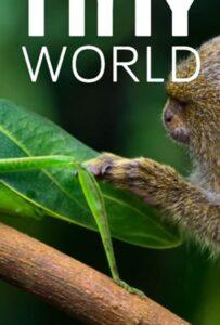 Крошечный Мир (2020) Смотреть Apple TV на ЛордФильм